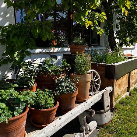Gaestehaus Fitsch Общайг Екстериор снимка